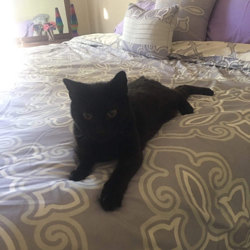 Meet your Posher, Natalie